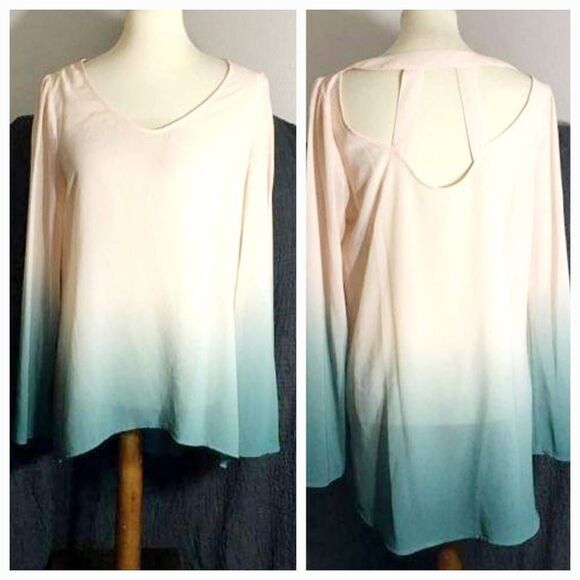 Blu Pepper Ombre Top Size Large - Picture 1 of 9